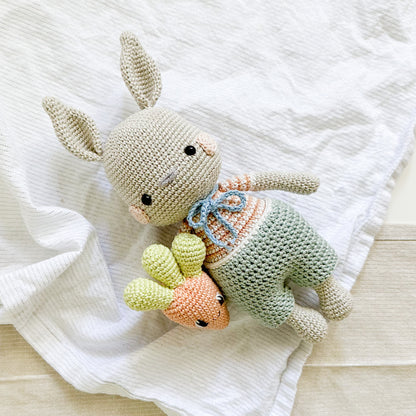 Carrot-Loving Bunny Crochet Pattern